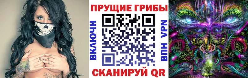 Галлюциногенные грибы прущие грибы  цена наркотик  Губкин 